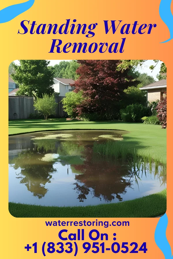 Standing Water Removal in Dodge City, AL